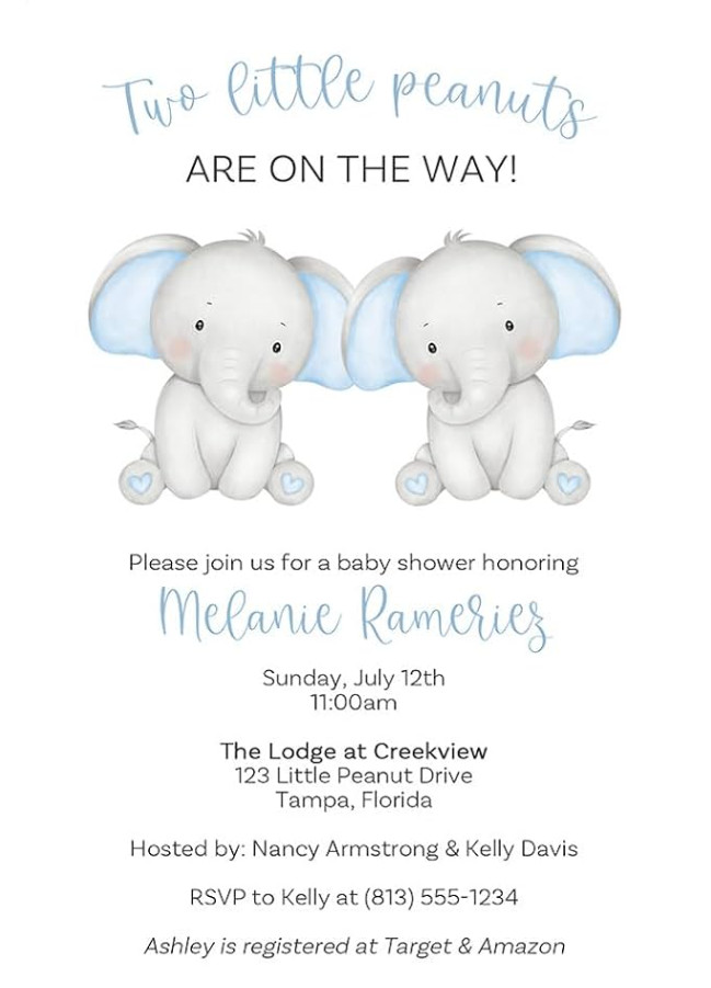 Sample of Twin Baby Shower Invitation Template Sample of Twin Baby Shower Invitation Template